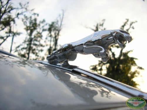 I. SOUTH BOHEMIA JAGUAR MEETING 2008_31