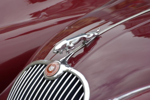 II South Bohemian Meeting Jaguar 2009_58