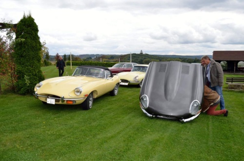International Jaguar Bohemia meeting 2017_111