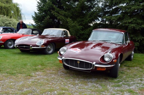 International Jaguar Bohemia meeting 2017_119