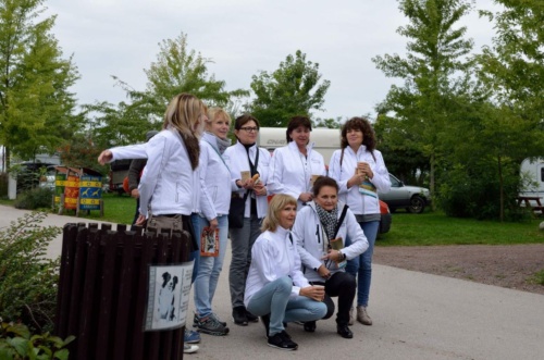 International Jaguar Bohemia meeting 2017_147