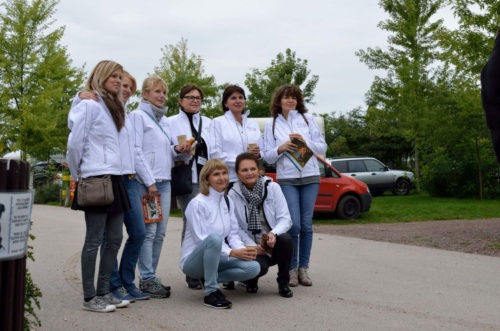 International Jaguar Bohemia meeting 2017_148