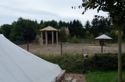 International Jaguar Bohemia meeting 2017_150