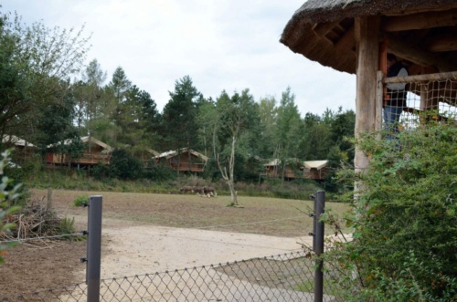 International Jaguar Bohemia meeting 2017_151