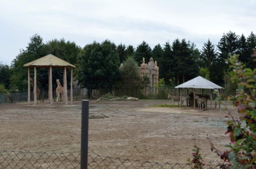 International Jaguar Bohemia meeting 2017_152