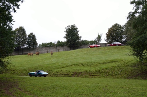 International Jaguar Bohemia meeting 2017_170