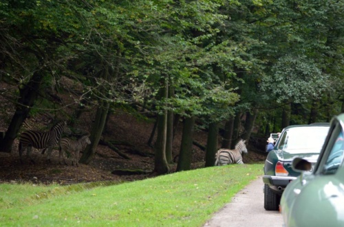 International Jaguar Bohemia meeting 2017_179