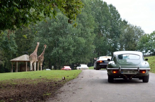 International Jaguar Bohemia meeting 2017_188