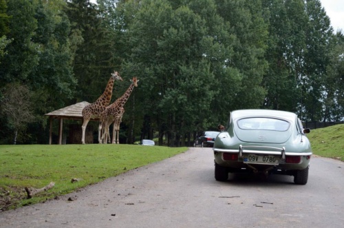 International Jaguar Bohemia meeting 2017_190