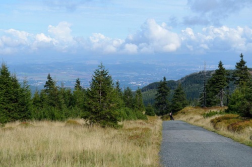 International Jaguar Bohemia meeting 2017_251