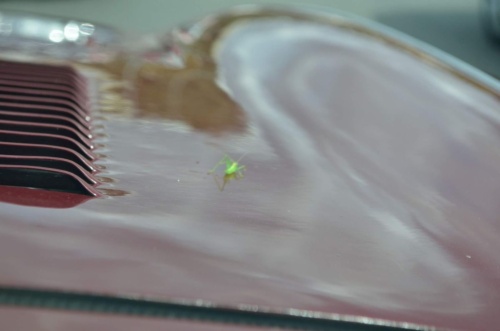 International Jaguar Bohemia meeting 2017_97