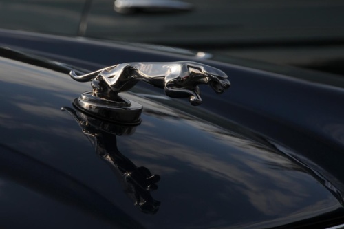 JEC Klub v Safari ZOO Dvůr Králové nad Labem 2010 III