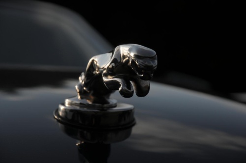 JEC Klub v Safari ZOO Dvůr Králové nad Labem 2010 III_02