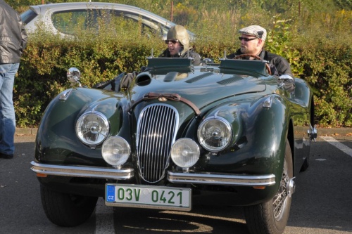 JEC Klub v Safari ZOO Dvůr Králové nad Labem 2010 III_04