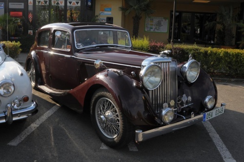 JEC Klub v Safari ZOO Dvůr Králové nad Labem 2010 III_05