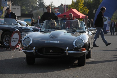 JEC Klub v Safari ZOO Dvůr Králové nad Labem 2010 III_09