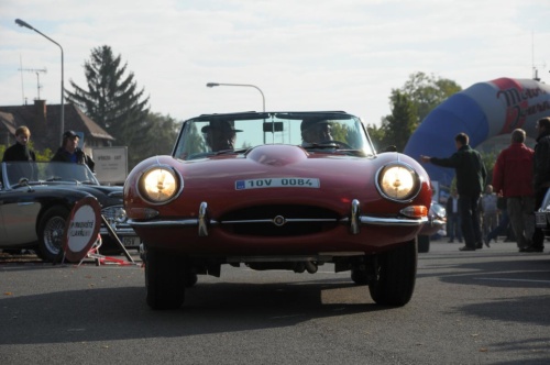JEC Klub v Safari ZOO Dvůr Králové nad Labem 2010 III_10