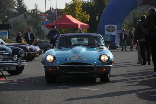 JEC Klub v Safari ZOO Dvůr Králové nad Labem 2010 III_12