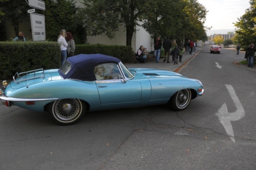 JEC Klub v Safari ZOO Dvůr Králové nad Labem 2010 III_13