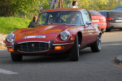 JEC Klub v Safari ZOO Dvůr Králové nad Labem 2010 III_14