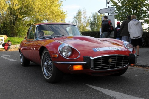 JEC Klub v Safari ZOO Dvůr Králové nad Labem 2010 III_15