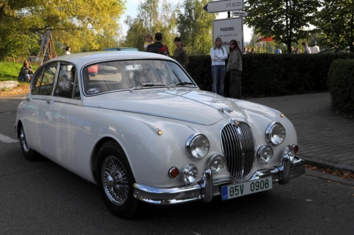 JEC Klub v Safari ZOO Dvůr Králové nad Labem 2010 III_17