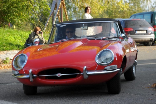 JEC Klub v Safari ZOO Dvůr Králové nad Labem 2010 III_20