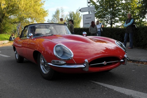 JEC Klub v Safari ZOO Dvůr Králové nad Labem 2010 III_21