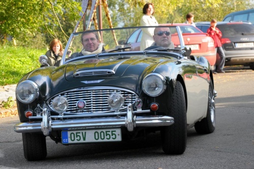 JEC Klub v Safari ZOO Dvůr Králové nad Labem 2010 III_25