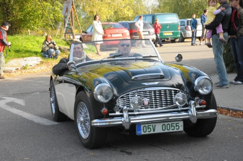 JEC Klub v Safari ZOO Dvůr Králové nad Labem 2010 III_26