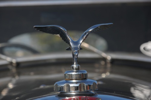 JEC Klub v Safari ZOO Dvůr Králové nad Labem 2010 III_39