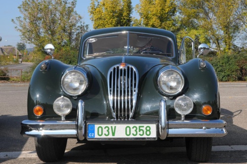 JEC Klub v Safari ZOO Dvůr Králové nad Labem 2010 III_45