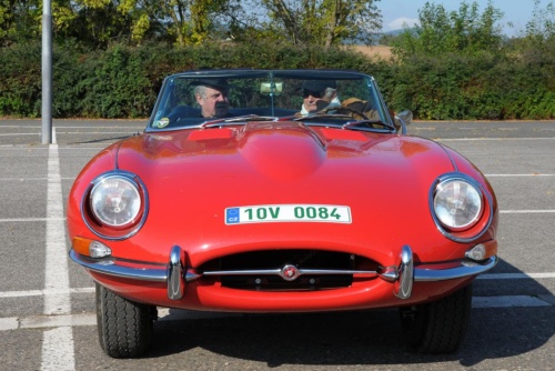 JEC Klub v Safari ZOO Dvůr Králové nad Labem 2010 III_49