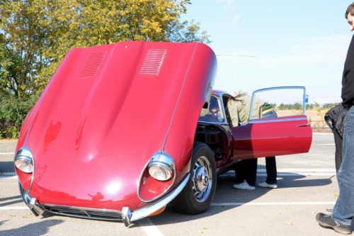 JEC Klub v Safari ZOO Dvůr Králové nad Labem 2010 III_53