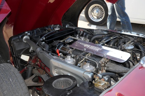 JEC Klub v Safari ZOO Dvůr Králové nad Labem 2010 III_54