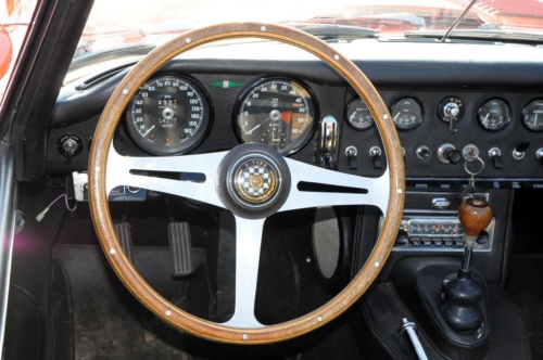 JEC Klub v Safari ZOO Dvůr Králové nad Labem 2010 III_56