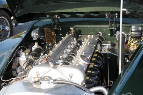 JEC Klub v Safari ZOO Dvůr Králové nad Labem 2010 III_58