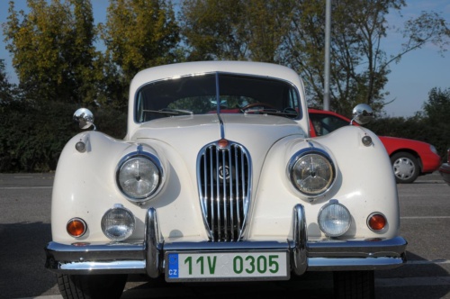 JEC Klub v Safari ZOO Dvůr Králové nad Labem 2010 III_59