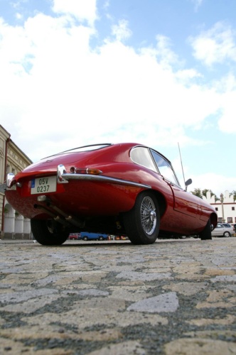 JEC Klub v Safari ZOO Dvůr Králové nad Labem 2010 II_03