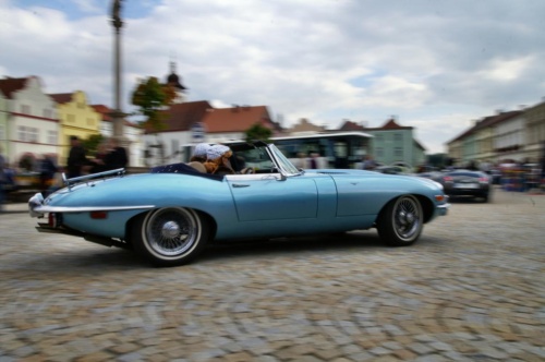 JEC Klub v Safari ZOO Dvůr Králové nad Labem 2010 II_16