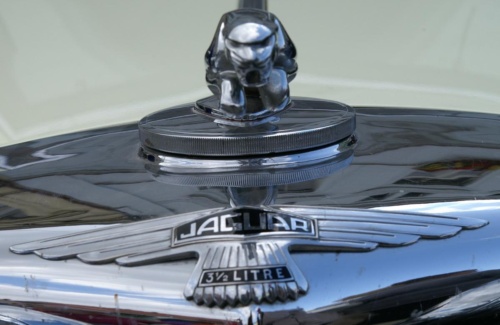 JEC Klub v Safari ZOO Dvůr Králové nad Labem 2010 II_17