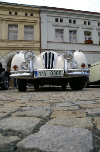 JEC Klub v Safari ZOO Dvůr Králové nad Labem 2010 II_18