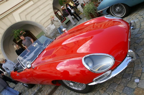 JEC Klub v Safari ZOO Dvůr Králové nad Labem 2010 II_23