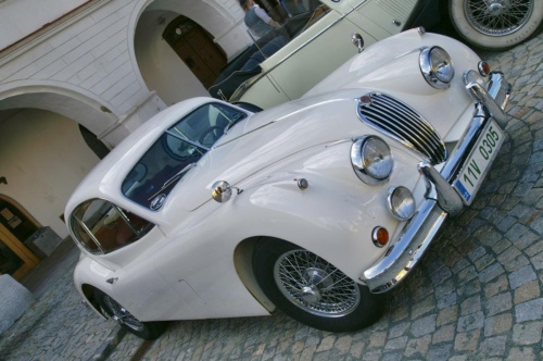 JEC Klub v Safari ZOO Dvůr Králové nad Labem 2010 II_27