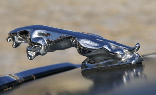 JEC Klub v Safari ZOO Dvůr Králové nad Labem 2010 II_29