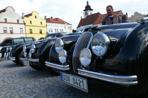 JEC Klub v Safari ZOO Dvůr Králové nad Labem 2010 II_31