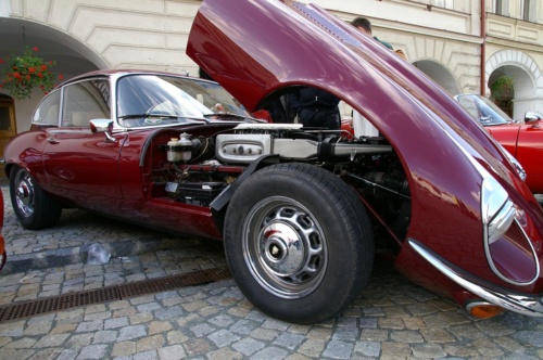 JEC Klub v Safari ZOO Dvůr Králové nad Labem 2010 II_37