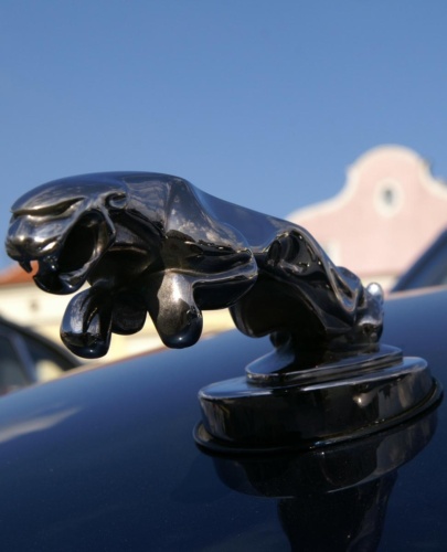 JEC Klub v Safari ZOO Dvůr Králové nad Labem 2010 II_38