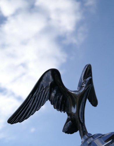 JEC Klub v Safari ZOO Dvůr Králové nad Labem 2010 II_39