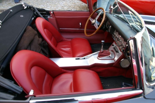 JEC Klub v Safari ZOO Dvůr Králové nad Labem 2010 II_44